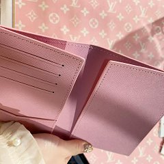 【666】passport holder