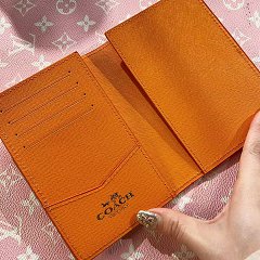 【666】passport holder